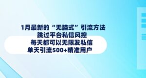 1月最新的无脑式引流方法,跳过平台私信风控,每天都可以无限发私信,单天引流500+精准用户-中创网_分享创业项目_助您在家赚钱