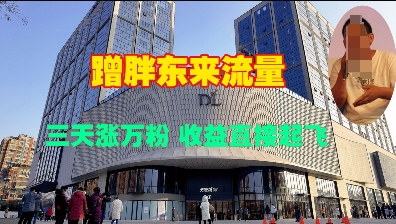 蹭胖东来流量，三天涨万粉，收益直接起飞-中创网_分享创业项目_助您在家赚钱