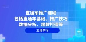 直通车推广课程:包括直通车基础、推广技巧、数据分析、爆款打造等-中创网_分享创业项目_助您在家赚钱