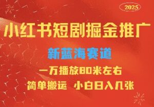 小红书短剧推广,蓝海新赛道,一万播放80元左右,简单搬运适合小白日入几张-中创网_分享创业项目_助您在家赚钱