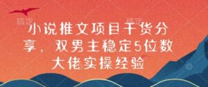 小说推文项目干货分享，双男主稳定5位数大佬实操经验-中创网_分享创业项目_助您在家赚钱