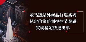 (13970期)亚马逊站外新品打爆系列,从定价策略到把控节奏感,实现稳定快速出单-中创网_分享创业项目_助您在家赚钱