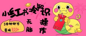 小红书的冷门知识账户,没脑子拷贝,5分钟左右转现3张-中创网_分享创业资讯_网络项目资源-中创网_分享创业项目_助您在家赚钱