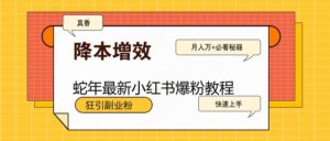 蛇年最新小红书爆粉教程,狂引副业粉,月入万+必看-中创网_分享创业项目_助您在家赚钱