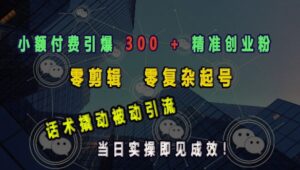 小额付费引爆 300 + 精准创业粉,零剪辑、零复杂起号,话术撬动被动引流,当日实操即见成效-中创网_分享创业项目_助您在家赚钱