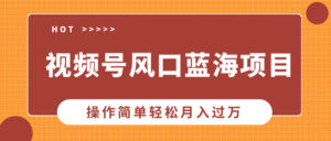 视频号风口蓝海项目,中老年人的流量密码,操作简单轻松月入过W-中创网_分享创业项目_助您在家赚钱