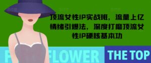 顶流女性IP实战班，流量上亿情绪引爆法，深度打磨顶流女性IP硬核基本功-中创网_分享创业项目_助您在家赚钱