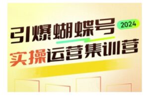 引爆蝴蝶号实操运营,助力你深度掌握蝴蝶号运营,实现高效实操,开启流量变现之路-中创网_分享创业项目_助您在家赚钱
