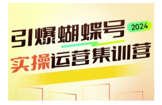 引爆蝴蝶号实操运营，助力你深度掌握蝴蝶号运营，实现高效实操，开启流量变现之路-中创网_分享创业项目_助您在家赚钱