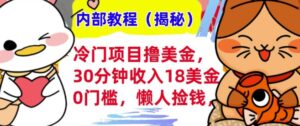 冷门项目撸美刀,30分钟收入18美刀,0门槛,懒人捡钱,无脑操作-中创网_分享创业项目_助您在家赚钱