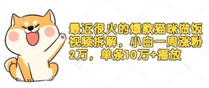 最近很火的爆款猫咪做饭视频拆解，小白一周涨粉2万，单条10万+播放(附保姆级教程)-中创网_分享创业项目_助您在家赚钱