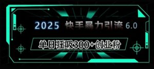2025年快手6.0保姆级教程震撼来袭,单日狂吸300+精准创业粉-中创网_分享创业项目_助您在家赚钱