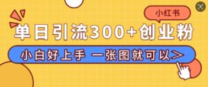 小红书单日引流300+创业粉,“简单粗暴”引流法,小白好上手,私信回不完-中创网_分享创业项目_助您在家赚钱