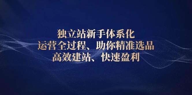 独立站新手体系化 运营全过程，助你精准选品、高效建站、快速盈利-中创网_分享创业项目_助您在家赚钱