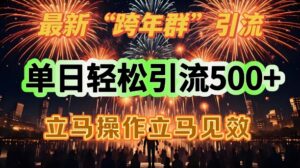 最新跨年群引流,单日轻松引流500,立马操作立马见效-中创网_分享创业项目_助您在家赚钱