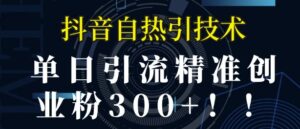 抖音自热引流，单日引流精准创业粉300+-中创网_分享创业项目_助您在家赚钱