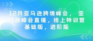 12月亚马逊跨境峰会, 亚马逊峰会直播,线上特训营基础版,进阶版-中创网_分享创业项目_助您在家赚钱