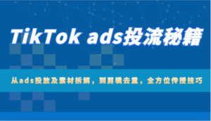 TikTok ads投流秘籍：从ads投放及素材拆解，到剪辑去重，全方位传授技巧-中创网_分享创业项目_助您在家赚钱