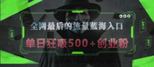 全网最后的流量蓝海入口,半小时引流50+创业粉,单日狂吸500+创业粉-中创网_分享创业项目_助您在家赚钱