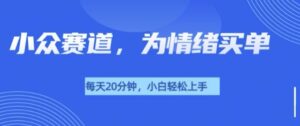 小众赛道,我的治愈系电子抱枕,让用户为情绪买单-中创网_分享创业项目_助您在家赚钱