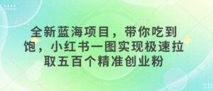 全新蓝海项目，带你吃到饱，小红书一图实现极速拉取五百个精准创业粉-中创网_分享创业项目_助您在家赚钱