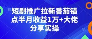 短剧推广拉新番茄锚点半月收益1万+大佬分享实操-中创网_分享创业项目_助您在家赚钱