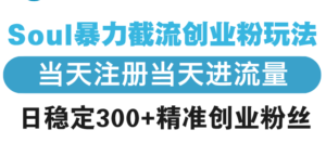 (13935期)Soul暴力截流创业粉玩法,当天注册当天进流量,日稳定300+精准创业粉丝-中创网_分享创业项目_助您在家赚钱