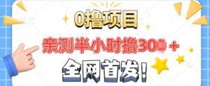 全网首发， 正规平台 半小时撸30+每天做做任务 亲测提现秒到账-中创网_分享创业项目_助您在家赚钱