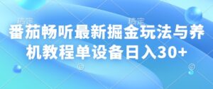 番茄畅听全新掘金队游戏玩法与养机实例教程单机器设备日入30-中创网_分享创业资讯_网络项目资源-中创网_分享创业项目_助您在家赚钱