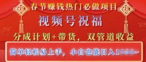 春节热门必做项目,视频号祝福,分成计划+带货,双管道收益,简单轻松易上手,小白也能日入多张-中创网_分享创业项目_助您在家赚钱
