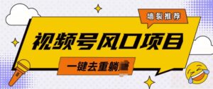 视频号风口蓝海项目,中老年人的流量密码,简单无脑,一键去重,轻松月入过W-中创网_分享创业项目_助您在家赚钱