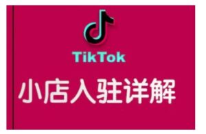 TikTok跨境小店运营全攻略,帮助你独立运营TK跨境小店的能力,实现销量增长-中创网_分享创业项目_助您在家赚钱