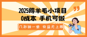 2025撸羊毛小程序，0成本费 手机能做，几秒一单，盈利无限制-中创网_分享创业项目_助您在家赚钱