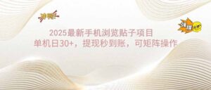 （14197期）2025手机浏览帖子单机日30+，提现秒到账，可矩阵操作-中创网_分享创业项目_助您在家赚钱