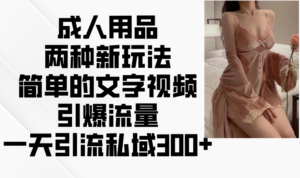 两性用品二种新模式，文字描述短视频引爆流量，一天引流方法公域300-中创网_分享创业项目_助您在家赚钱