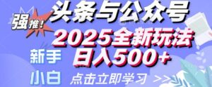 今日头条与微信公众号2025全新玩法日入好几张 新手初学者都能够快速上手 使用方便-中创网_分享创业项目_助您在家赚钱