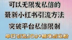 全新“摆烂式”引流方法玩法,小红书私信引流方法,单日引流方法100-中创网_分享创业项目_助您在家赚钱