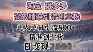 淘宝拼多多高效率精准引流方法自主创业粉，单人单日引流方法500 自主创业粉，日转现好几张-中创网_分享创业项目_助您在家赚钱