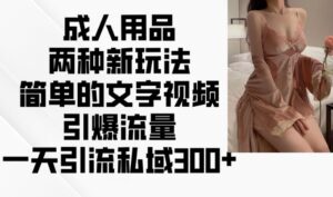 两性用品二种新模式，文字描述短视频引爆流量，一天引流方法公域300-中创网_分享创业项目_助您在家赚钱