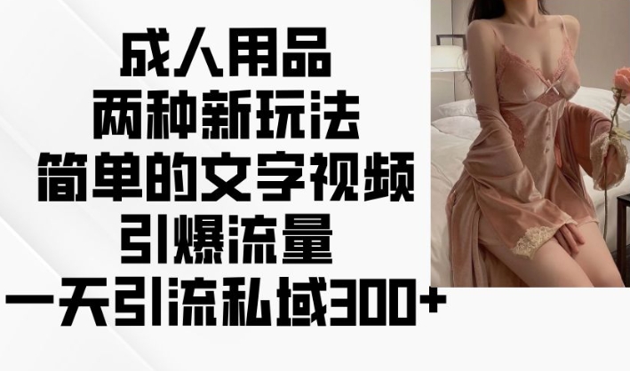 两性用品二种新模式，文字描述短视频引爆流量，一天引流方法公域300-中创网_分享创业项目_助您在家赚钱