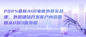 2025全新AI雷电做跨境电商实战演练课,外贸网站建设寻找客户内容运营从0到3做跨境电商-中创网_分享创业项目_助您在家赚钱