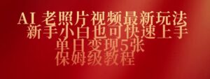 AI老图片视频全新游戏玩法，新手入门也可以快速入门，单日转现5张，家庭保姆级实例教程-中创网_分享创业项目_助您在家赚钱
