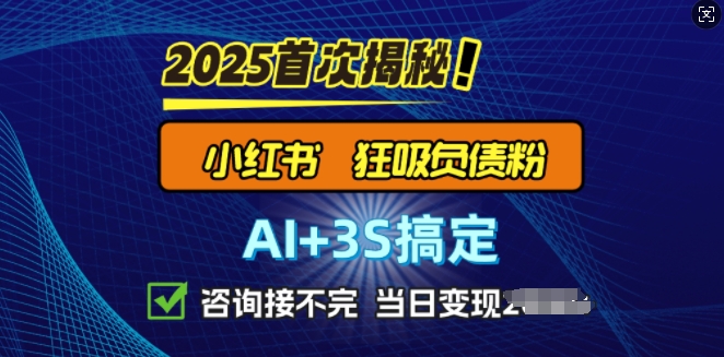 2025引流方法吊顶天花板：全新小红书的狂怒债务粉构思，资询接持续，当日入好几张-中创网_分享创业项目_助您在家赚钱