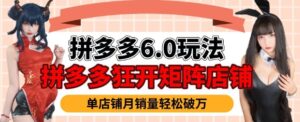拼多多平台虚拟物品爆利6.0游戏玩法,真正实现月入了W-中创网_分享创业项目_助您在家赚钱