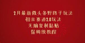 2月全新头条歪门邪道游戏玩法,相亲约会跑道2.0游戏玩法,没脑子拷贝,家庭保姆级实例教程-中创网_分享创业项目_助您在家赚钱