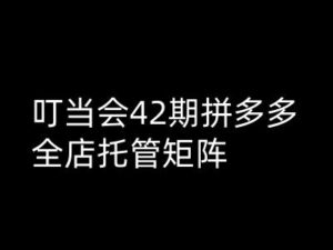 钉铛会拼多多平台打穿班原创设计高级技术性第42期,拼多多平台店铺代管引流矩阵-中创网_分享创业项目_助您在家赚钱