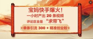 宝妈快手爆火,一小时产出 20 条视频,评论区全是 “求带飞”,单条引流 300 + 精准创业粉-中创网_分享创业项目_助您在家赚钱