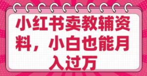 小红书的卖辅导资料,0 成本费,净利润,售后服务成本极低,新手也可以月入了W-中创网_分享创业项目_助您在家赚钱