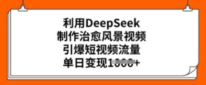 运用DeepSeek制做痊愈美景视频,点爆自媒体流量,单日转现好几张-中创网_分享创业项目_助您在家赚钱