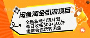 闲鱼平台挖金私域引流方案,从0逐渐轻松玩闲鱼平台,第二职业还可以赚到全职的薪水-中创网_分享创业项目_助您在家赚钱